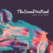 Karma Kid: TheSoundYouNeed, Vol. 1