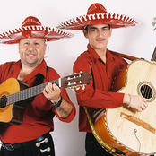 amsterdam guitar trio