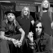 backyard babies