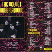 Wild Child by The Velvet Underground