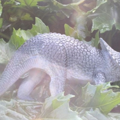 Not everybody it's the same