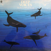 Deep Voices: The Second Whale Record