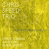 Chris Speed Trio: Despite Obstacles