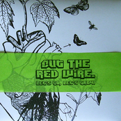 Daylight Comes Through My Soul by Cut The Red Wire