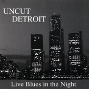 Uncut Detroit: Live Blues In The Night