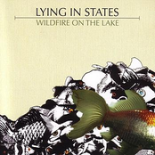 Qg by Lying In States