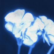 you're so precious. i love you. i'm sorry