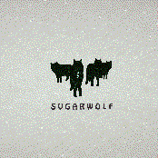 Sugarwolf