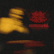 Sentenced