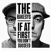 If At First You Don't Succeed