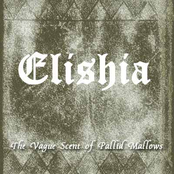 The Vague Scent of Pallid Mallows