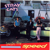 Stray Cats: Built For Speed