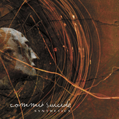 Synthetics by Commit Suicide