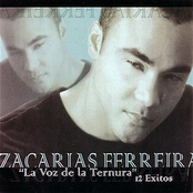 Zacarias Ferreira: La Voz de la Ternura - 12 Exitos