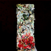 A Taller Us (Deluxe)