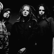 korn