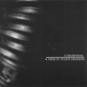 Ceremonial - A Tribute To Joy Division