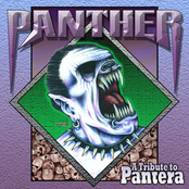 Panther - A Tribute To Pantera