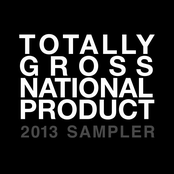 TGNP Sampler 2013