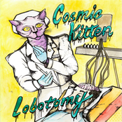 Cosmic Kitten: Lobotomy