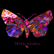 Tetralunaria
