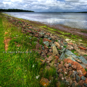 Vapor & Polvo Vol. III