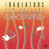 The Radiators: Zig-Zaggin' Through Ghostland