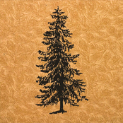 Never Mind the Emptiness