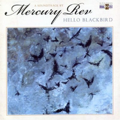 Travelling Music by Mercury Rev