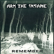 arm the insane