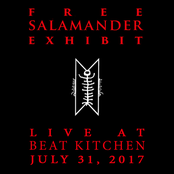 Free Salamander Exhibit: Live at Beat Kitchen, July 31 2017