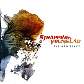 Far Beyond Metal by Strapping Young Lad