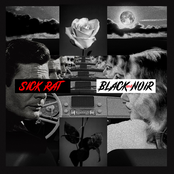Black And Noir (LP)