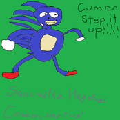 sanic and the hegehogs