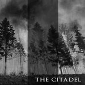 split The Citadel / Tyrell's Owl