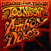 Loaded for Bear: The Best of Ted Nugent & the Amboy Dukes