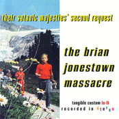 Too Crazy To Care by The Brian Jonestown Massacre