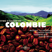 Son Caribe: Ritmo Y Sabor de Colombie