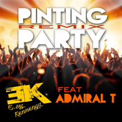 Pinting Party Remix