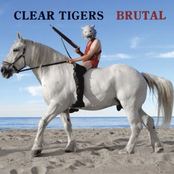 Clear Tigers