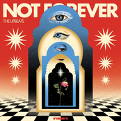 Not Forever Album Picture