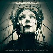 The Fear of Blood Tends to Create Fear for the Flesh