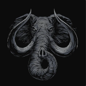 Elefante Manga