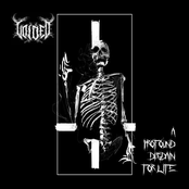 A Profound Disdain For Life