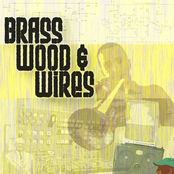 brass wood & wires