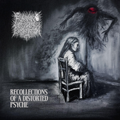 Recollections Of A Distorted Psyche