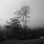 Along the Roadside Between You and Me