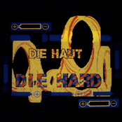 A Shady Haze Of Guenther by Die Haut