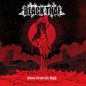 Blood From On High