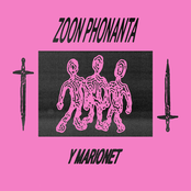 Y Marionet